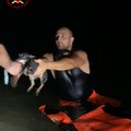 Fuochi d’artificio a San Girolamo spaventano un cane che si butta in acqua