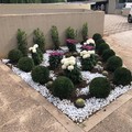  "Adotta un fiore ", nel cimitero monumentale di Bari arrivano le piante ornamentali