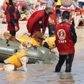 L'estate è finita ma le attività della Scuola Cani Salvataggio Nautico continuano