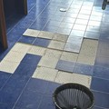 Svastica nei bagni: indignazione al Liceo  "Cartesio " di Triggiano