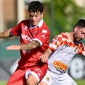 Amichevoli estive, oggi il Bari in campo contro il Bagicalupo Vasto Marina