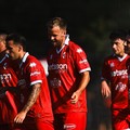 Amichevoli estive, il Bari sfida all'antistadio il Picerno