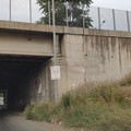 Bari, benvenuti in zona Asi, tra erba alta e rifiuti