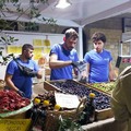 Successo pieno per la Sagra dell'Oliva Termite a Bitetto