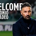 Antonio Minadeo è il nuovo direttore sportivo del Bari