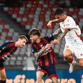Bari-Potenza finisce senza reti. Meglio i lucani, punto d'oro per i biancorossi