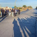 Crisi olivicola, Confagricoltura Bari-BAT: oggi mobilitazione a Bari