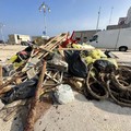 Clean up a Torre a Mare, raccolti mille chili di rifiuti