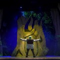 Al Teatro Petruzzelli di Bari arriva il musical  "Shrek "