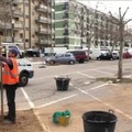 Japigia, partita la piantumazione di 33 alberi in via Caldarola