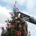 Donato l'albero di Natale al giardino Santa Rita di Bari