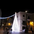 Stasera si accende l'Albero di Natale davanti alla Cattedrale di San Sabino