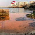 Un'alga tinge di rosso il mare di Bari, Arpa: «Nessun pericolo per la salute»