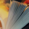 La rete Bari Social Book aderisce al Maggio dei Libri: oltre 40 eventi