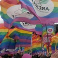 Su  "votarcobaleno " sostegno al disegno di legge contro l'omotransfobia