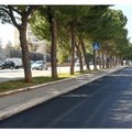 Japigia, completati i lavori per il nuovo asfalto in via Caldarola e via Marzabotto