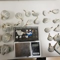 Polignano, due arresti per detenzione e spaccio di droga