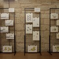 Bari al BabaFesta 2026, il festival internazionale dedicato alla letteratura illustrata per l’infanzia