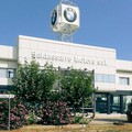 Niente rinnovo del contratto di concessione, Baldassarre Motors fa causa a BMW Italia