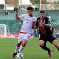 Bari-Pro Vercelli: i precedenti