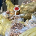 Orecchiette, blitz all'Arco Basso: sequestrati 151 chilogrammi di prodotti