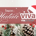 Auguri di un Natale dolce e sereno dal Viva Network!