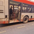 Forza Italia Bari: «Basta cittadini e turisti in lunga attesa di bus inquinanti»