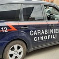 Spaccia droga nella sua abitazione: arrestato 31enne in provincia di Bari