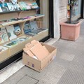 Caos raccolta cartoni, l'ira di Leccese: convocata azienda e Amiu