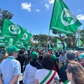 Bari, centinaia di agricoltori al flash mob di CIA. Sicolo: «Fermiamo le importazioni di grano duro»