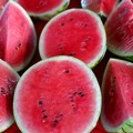La siccità non dà scampo ai cocomeri, bruciati uno su quattro in Puglia