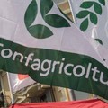 Confagricoltura Bari-Bat: «Prodotti freschi e confezionati bloccati nel foggiano per le proteste degli autotrasportatori»