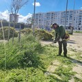Japigia, iniziati i lavori di diserbo nel giardino di via Troisi