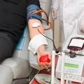 Bari, aumentano i donatori di sangue. Nel 2019 raccolte 39 mila sacche