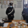 Appartamento trasformato in una piazza di spaccio: arrestato 21enne in provincia di Bari