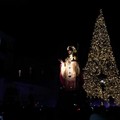 Acceso il grande albero, inizia il Natale a Bari