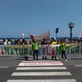 Xylella, manifestazione a Bari contro il decreto Martina