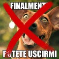  "Esci il cane ", la Crusca e una fake news a metà