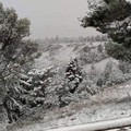 La primavera a Bari inizia con la neve sulla Murgia