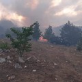 Continua a bruciare la provincia di Bari, fiamme ad Alberobello