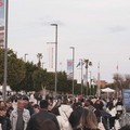 Fine settimana da tutto esaurito ad ExpoLevante, 15mila visitatori solo il primo giorno
