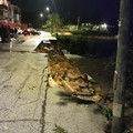 Maltempo, nel Barese crolla una strada ad Adelfia. Allagamenti in diversi comuni