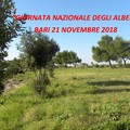 Giornata degli alberi, 2.000 studenti in Puglia a  "lezione di ambiente " con Arif e Carabinieri forestali