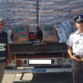 Porto di Bari, sequestrato pellet di legno con falso made in Italy