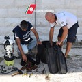 Polignano, maxi sequestro di dieci chili di datteri. Denunciato pescatore