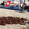 Bari, pescava datteri a San Giorgio, denunciato