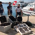 Provincia di Bari, giro di vite contro il commercio di pesce illegale. Scatta il maxi sequestro