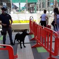 Stazione di Bari, coppia di turisti americani perde i bagagli. Recuperati dalla polfer