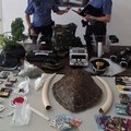Possesso di droga, giubbotto antiproiettile, zanne d’avorio e carapace, nonna e nipote arrestati a Bari