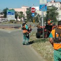 La Città Metropolitana taglia l'erba lungo le strade provinciali